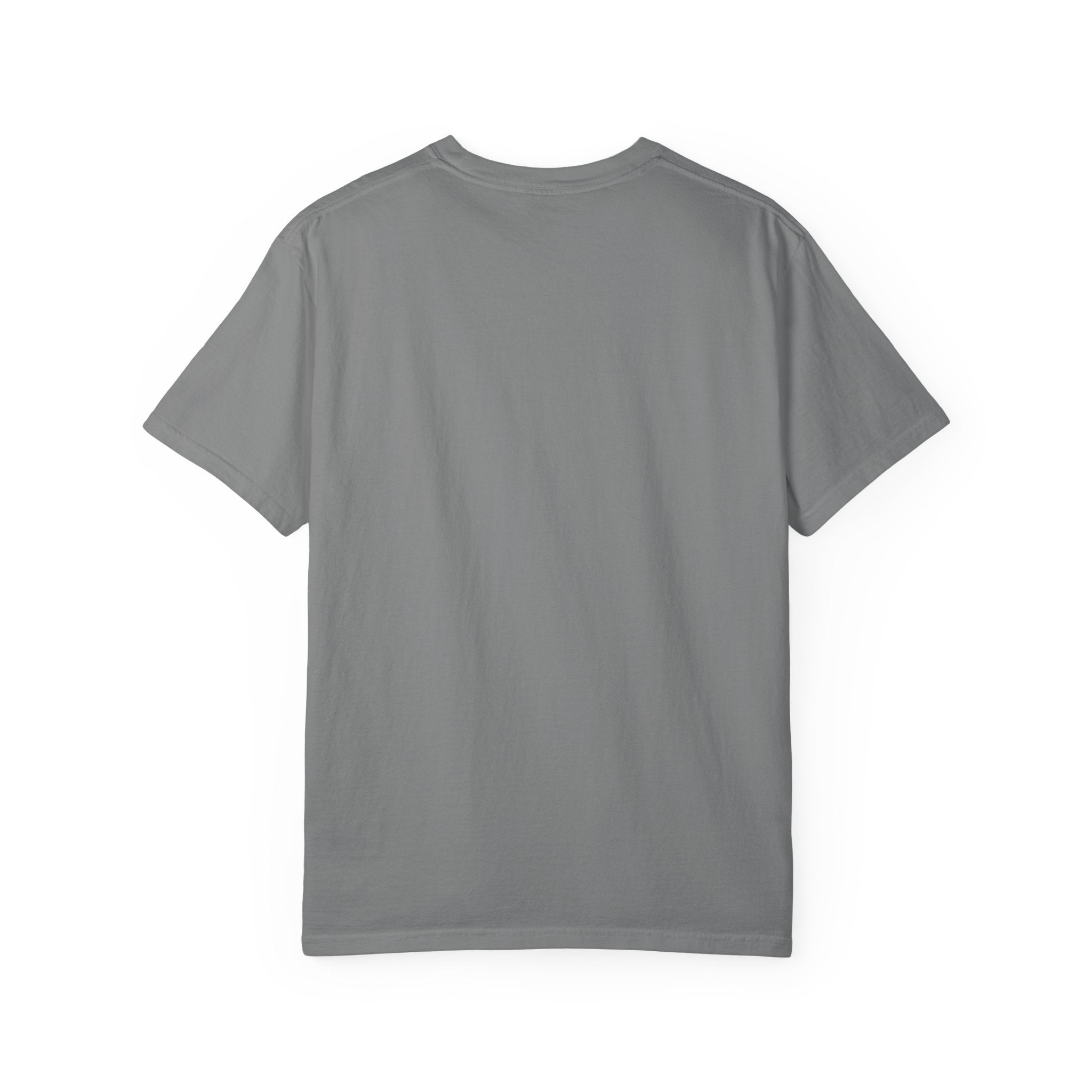 Beach Reading T-Shirt — "Tan Lines & Book Spines" Summer Reader Tee