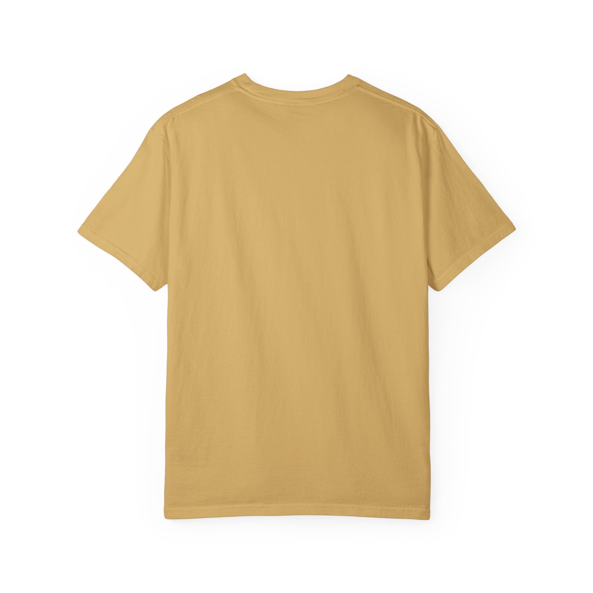 T-Shirt — "My TBR Is a Financial Burden" Book Lover Tee