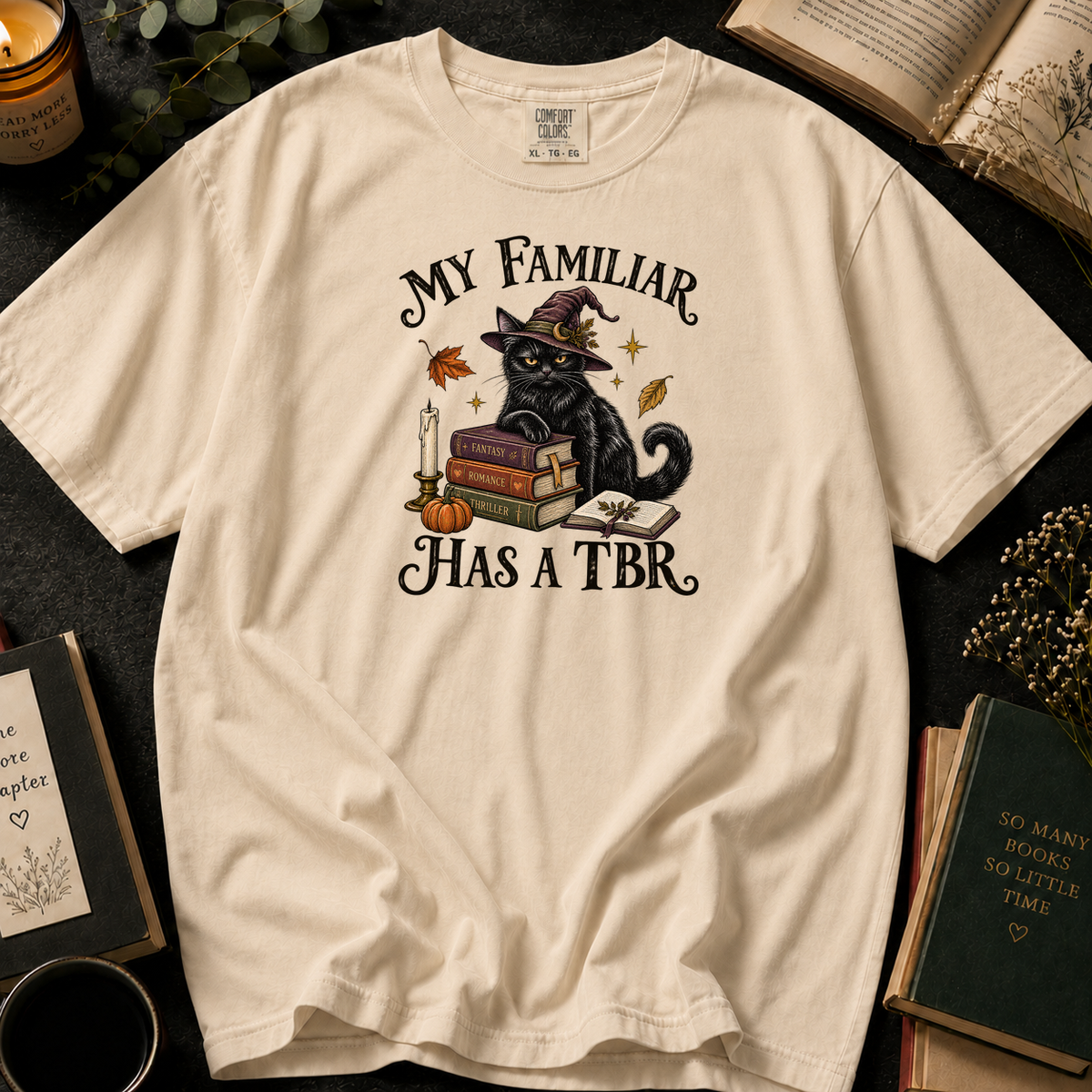 My Familiar Has a TBR T-Shirt in Ivory, Between the Pages