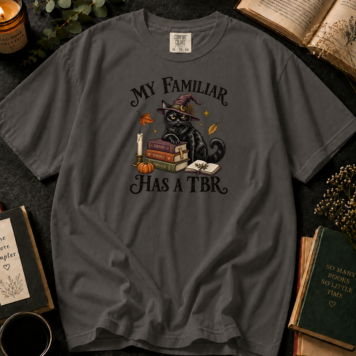 My Familiar Has a TBR T-Shirt in Pepper, Between the Pages
